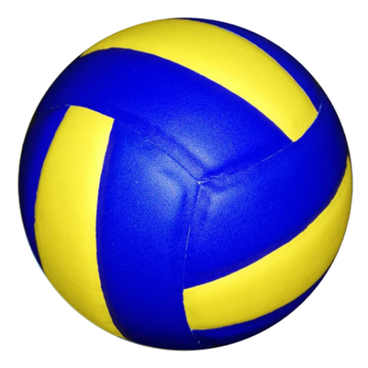 Volley Ball