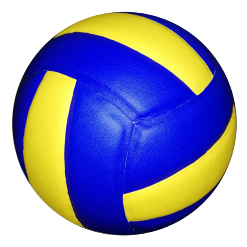 Volley Ball