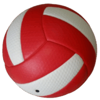 Thermo Volley ball